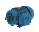 WEG 03718ET3Y225S/M-W22 WEG 03718ET3Y225S/M-W22