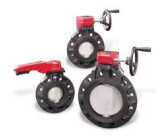 123719080 Asahi 123719080 Asahi