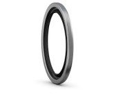 SS-2-RSD-2V SS-2-RSD-2V