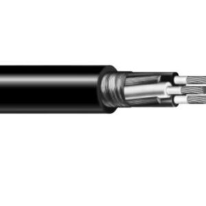B50204